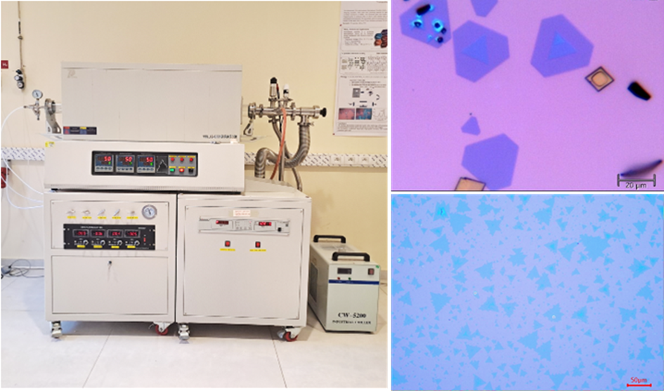 Laboratory crystal-growth activity