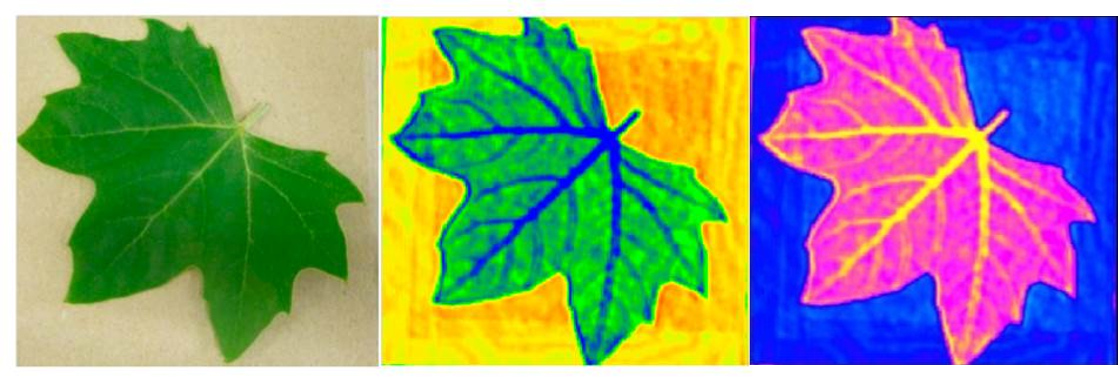 Terahertz scan