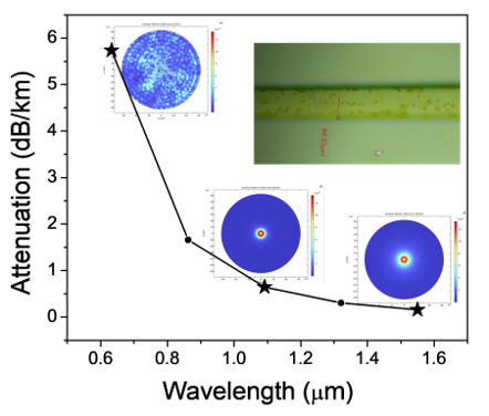 Terahertz communication technology